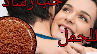 وصفة حب رشاد لتسريع الحمل وتكبير حجم البويضة. وتنظيف الرحم