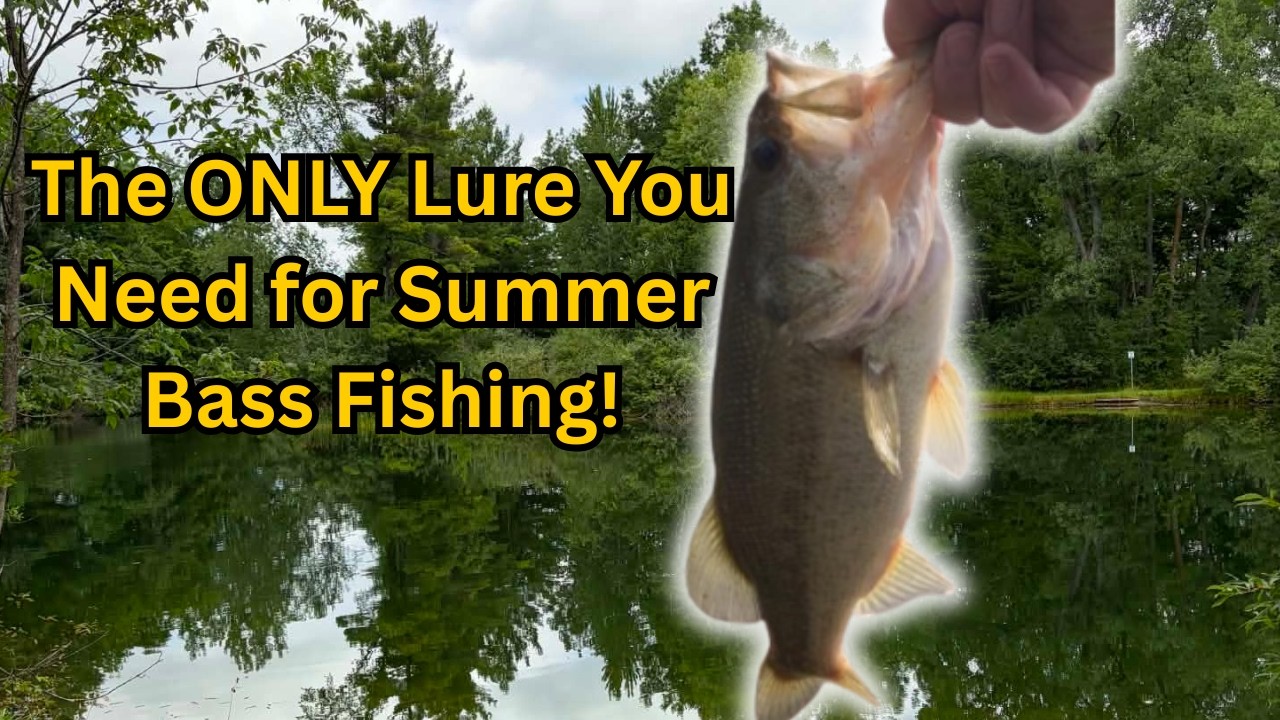 The ONLY Lure You Need for Summer Bass Fishing