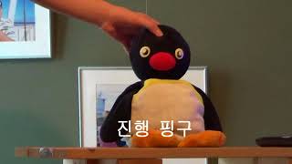 KBS3 창사5주년 특별기획 5주년 경축식