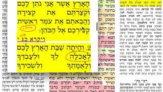 מנחות פד 84 יום שישי כ״ד חשון תשע״ט להצלחת עמיהוד נבון בן שמואל