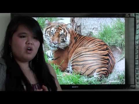 high-definition-photo-technology-(shoot'-n-see-technology)