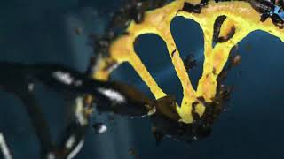 24 Strands DNA Activation 13 to 24 stages | Pure Healing Meditation Relaxing Music.
