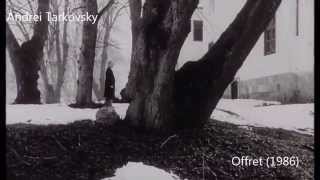 Offret 1986 - Andrei Tarkovsky