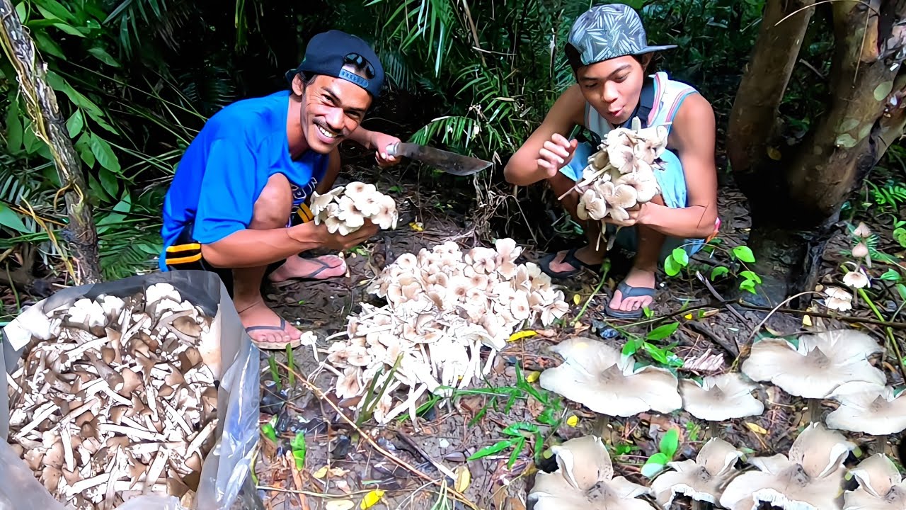 ISA SA MASARAP NA PAGKAING NAKUKUHA SA GUBAT KABUTE!  MAMARANG  JACKPOT TO!