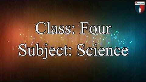 Class four science unit 2 afaq sun series