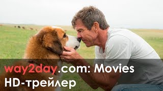 Собачья жизнь – Русский трейлер 2017, HD