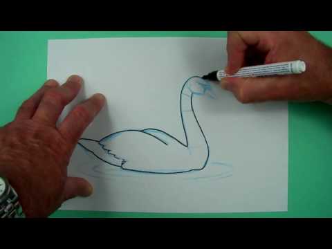 Video: Wie Zeichnet Man Einen Schwan