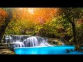 Relaxing Music 24/7, Spa Music, Sleeping Music, Stress Relief Music, Calming Music, Meditation, Spa