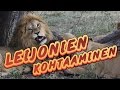 Kun nukuimme teltassa villieläinten keskellä 🦁 VLOG 34 | Serengeti National Park - Tanzania - Africa