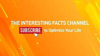 The Interesting Facts Channel Live Stream