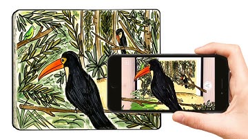 How to create augmented reality from your sketchbook using Artivive