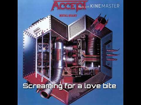 Accept _ screaming for a love bite (lyrics)
