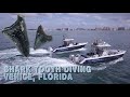 Diving for shark teeth and other fossils off Venice, Florida