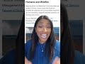Are people really setting these California wildfires?| Coffee Chat with Chan #californiawildfires