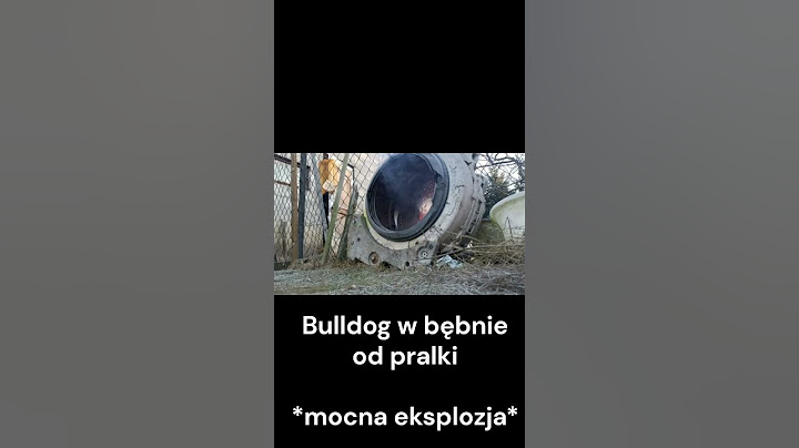 Wsadziłem petardę do bębna pralki... 💥 | Powerful Bulldog vs Pralka