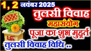 Tulsi Marriage Time 2025 | Tulsi Marriage Muhurat 2025 | Tulsi Marriage 2025 Auspicious Time, Worship Method, Remedies