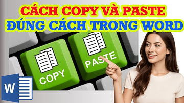 Cách Copy và Paste đúng cách trong Word đơn giản hiệu quả