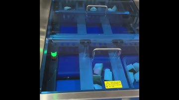 Continuous modified atmosphere packaging MAP production line, OEM Manufacturer, Good Price, DQ810TG