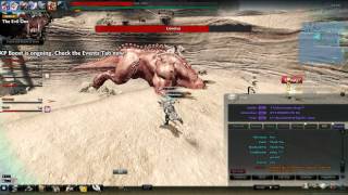 Vindictus EU - Lionotus strange bug