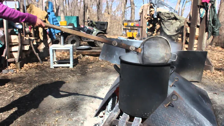 wenji-apiitendaagwak ojibwemowin