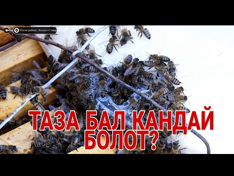 Video: Кантип балды эритүү керек