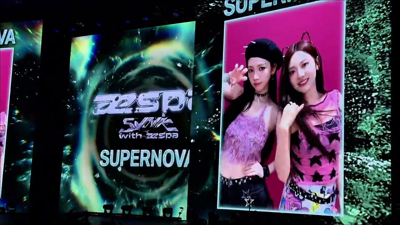aespa SYNK: COMPLAEXITY Tour Fan Dance and #MY Singalong #마이