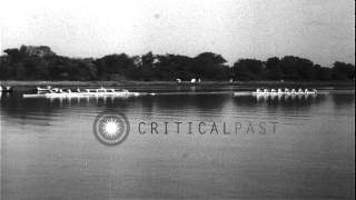 Washington crew wins the rowing finals and qualify for the Olympics. HD Stock Footage