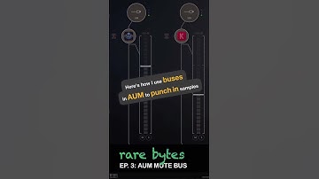 RARE BYTES #3: AUM Performance Routing with Bus Mutes