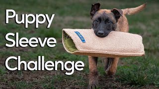 Puppy Sleeve Challenge