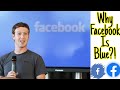 Why Facebook Is Blue? #shorts