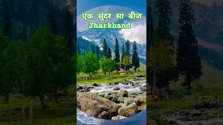 एक सुंदर सा बीज | Jharkhand Nature Beauty | Waterfall & Mountain Travel Shorts | 4K Nature Video