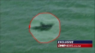 Megalodon Shark Caught on Tape by Helicopter (Amazing Footage!!)