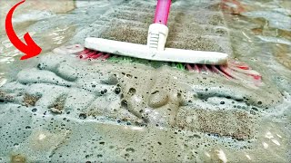 Washing the carpet with charcoal!!? Let's go see... | satisfying | ASMR