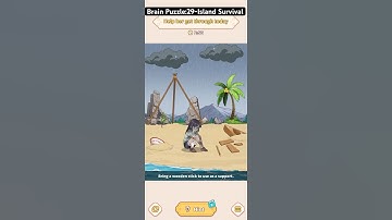 Brain Puzzle: Tricky Quest - Level 29: Island Survival