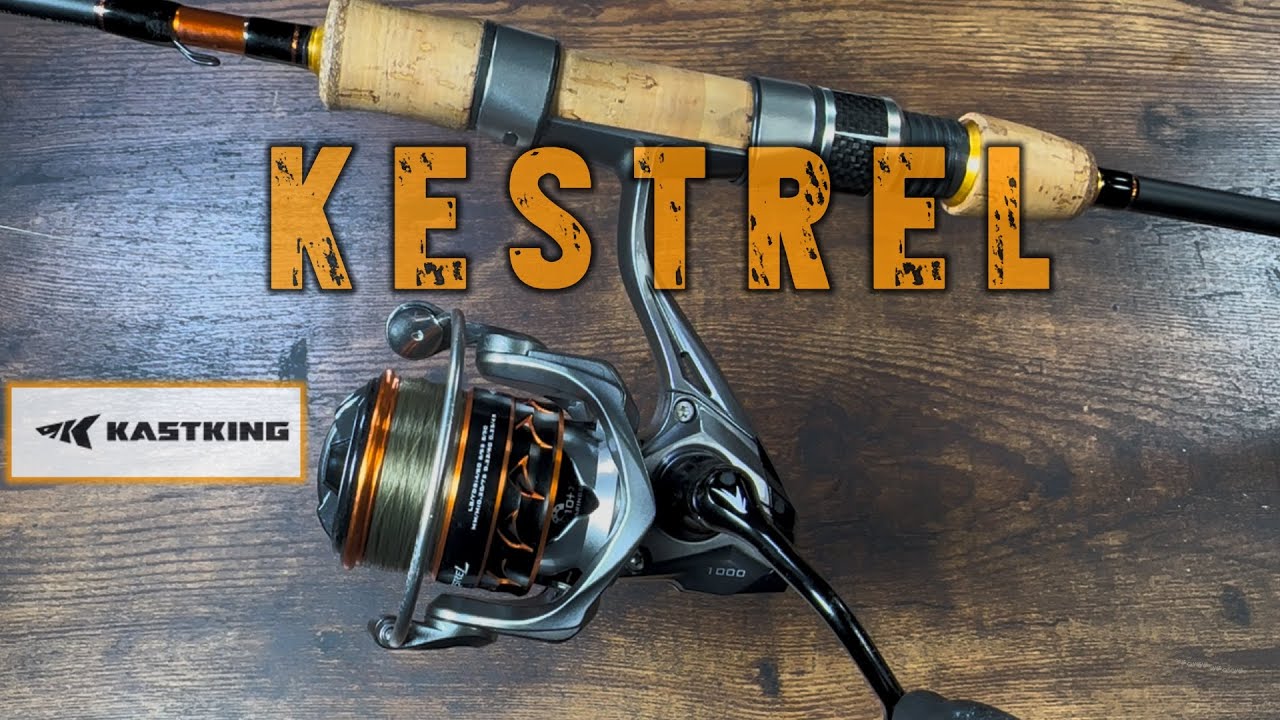 LIVE Unboxing of KASTKING KESTREL and First Thoughts!