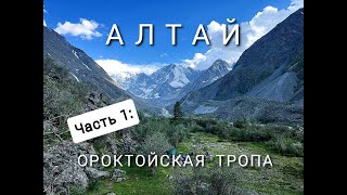 Большой поход по Алтаю. Часть 1: Ороктойская тропа