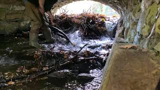 Clearing a beaver dam from a spillway.