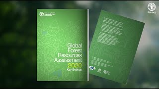 A picture of the world’s forests: The Global Forest Resources Assessment 2020