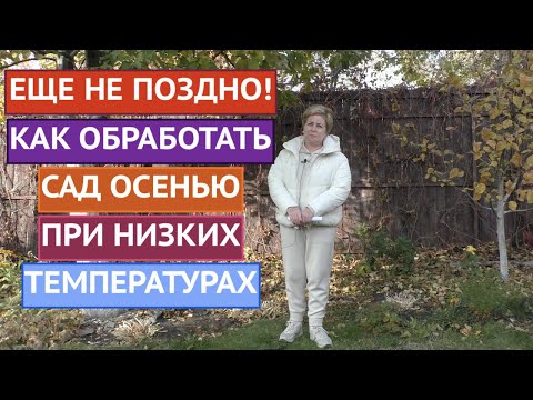 НЕ ВСЕ ПРЕПАРАТЫ СПРАВЯТСЯ! ЧЕМ ОБРАБОТАТЬ САД ПРИ НИЗКИХ ТЕМПЕРАТУРАХ!