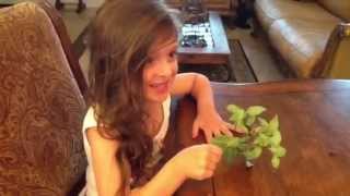 Sweet Previous Time With A Little Girl And A Baby Hummingbird  Xoxoxo