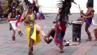 Danza Azteca DF Resimi