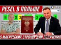 номер PESEL в Польше. 5 магических строк для получения PESEL в Польше