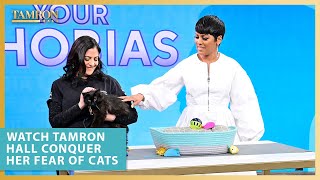 Watch Tamron Hall Conquer Her Fear of Cats