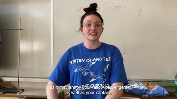 AP Calculus BC Final Video Project - Pre-Flight Safety Demonstration