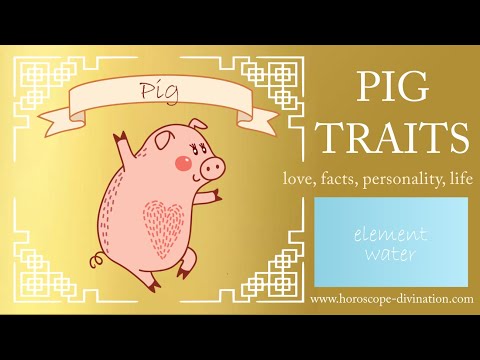 Video: What Is The Character Of Gemini Born In The Year Of The Pig