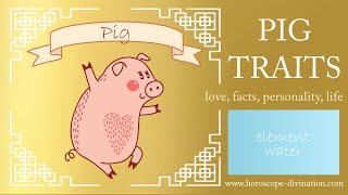 Chinese Zodiac Pig Personality ━ Pig Traits, Love & Feng Shui 豬