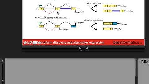 Isoform Discovery and Alternative Expression