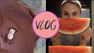 VLOG: YESSTYLE HAUL, WATERMELON, & TYBEE| DR DRAY