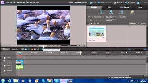 Adobe Premiere Elements: Time Stretch and Reverse Speed Tutorial