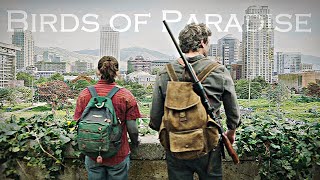 The Last of Us | Birds of Paradise